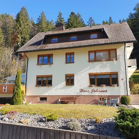 Haus Johanna Todtmoos Dış mekan fotoğraf