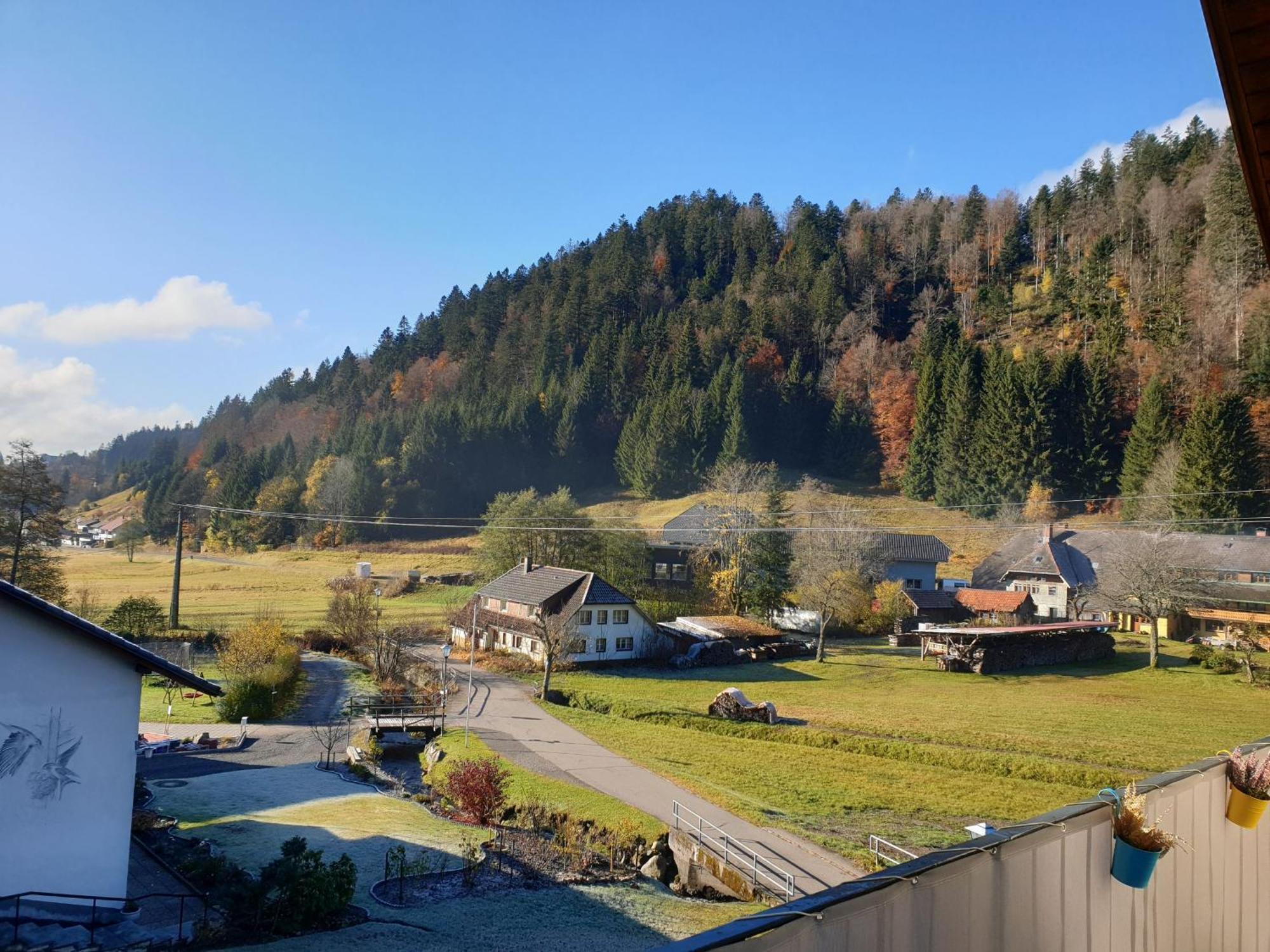 Haus Johanna Todtmoos Dış mekan fotoğraf